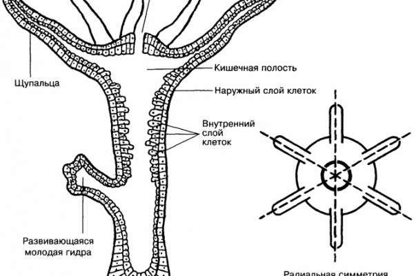 Ошибка 2fa в blacksprut