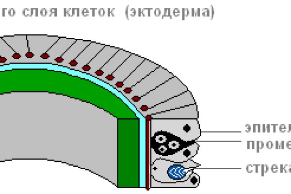 Блэкспрут blacksprut