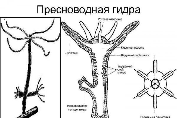 Ссылка на сайт блэкспрут тор